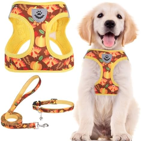 PUPTECK Dog Harness, Collar and Leash Set No Pull by PUPTECK