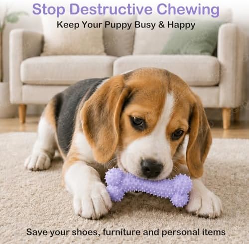 6 Pack Dog Chew Toys, Small Dog Teething Toys, Soft Durable Interactive Toys - Image 3