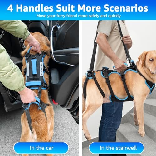 Dog Lift Harness for Large Male Dogs, 2-in-1 Detachable Support Harness - Image 3