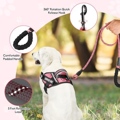 Service Dog Vest Harness and Leash Set, Animire in Training Dog Harness - Image 2