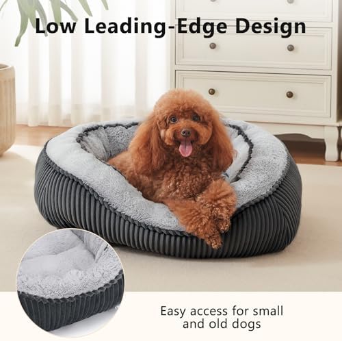 Washable Dog Bed for Small Cat Dogs, Warm Calming Anti-Slip - Image 3