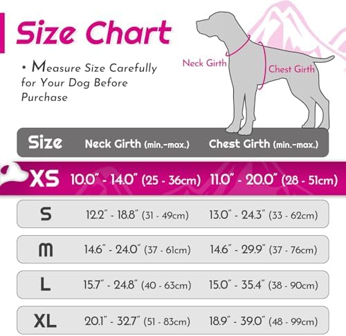 Eagloo Dog Harness for Small Dogs, No Pull Pet Vest - Image 2