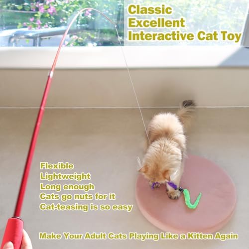 MeoHui Cat Toys for Indoor Cats, Interactive Cat Toy 2PCS Retractable Wand Toy - Image 2