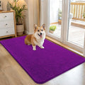 OLANLY Dog Door Mat for Muddy Paws 45x27, Super Absorbent Chenille Mud Mat by OLANLY