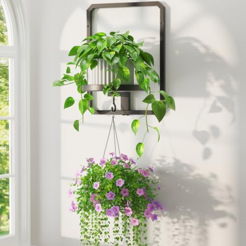 LASZOLA Plant Picture Frame Holder Shelf Wall Window Indoor by LASZOLA