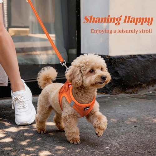 No Pull Dog Puppy Harness and Leash Set Reflective Mesh Vest Large - Image 6
