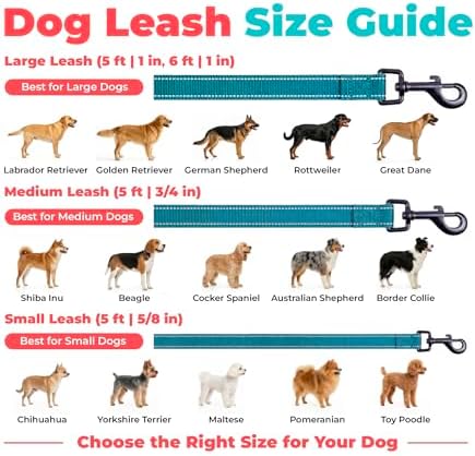 Best Pet Supplies Voyager Nylon Dog Leash - 6ft Turqioise - Image 6