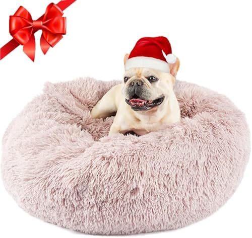 Himax Covered Medium Dog Bed by HIMAXPET