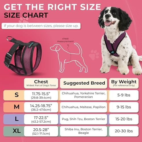 Gooby Comfort X Head-in Dog Harness, Choke-Free - Image 5