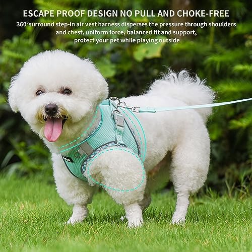 AIITLE Teacup Puppy Harness and Leash Set Escape-Proof, Turquoise S - Image 4