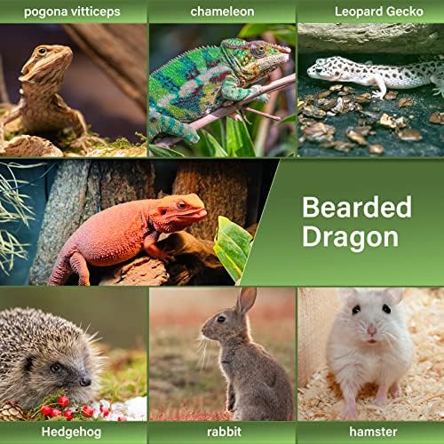 LIKZINWA Small Animal Sling Carrier, Bearded Dragon and Lizard Reptile Carrier - Image 2