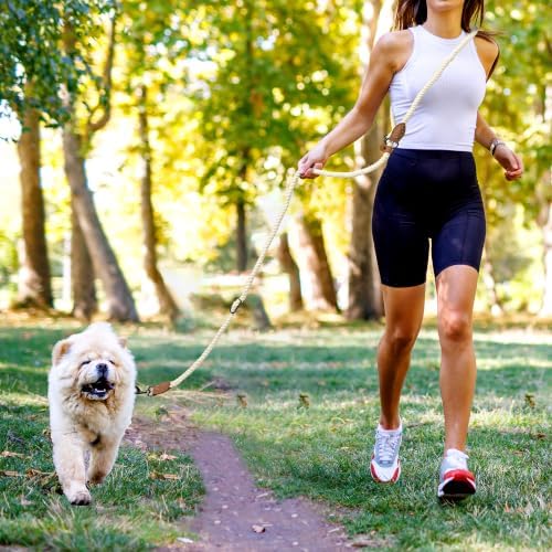 Mile High Life Hands Free Dog Leash, Crossbody Waist Leash - Image 2