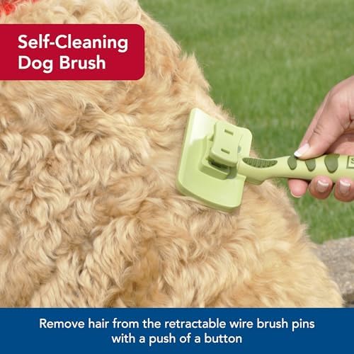 Coastal Pet Safari Dog Self-Cleaning Slicker Brush, 4.25" x 4.06" - Image 3