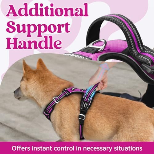 rabbitgoo Dog Harness Medium Sized, No Pull 3 Buckles Easy On & Off - Image 4