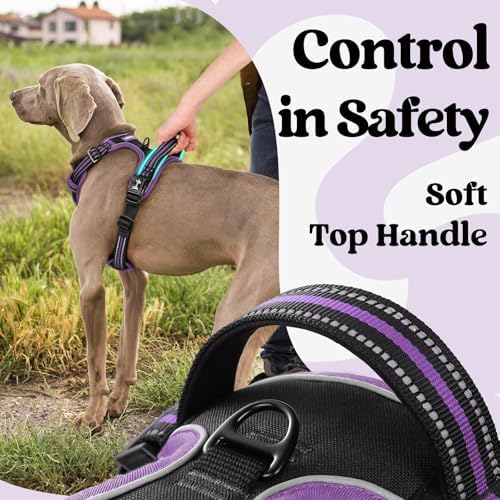 rabbitgoo Dog Harness Medium Sized, Updated Easy On & Off - Image 4