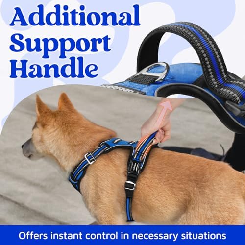 rabbitgoo Dog Harness Medium Sized, No Pull 3 Buckles Easy On & Off - Image 4