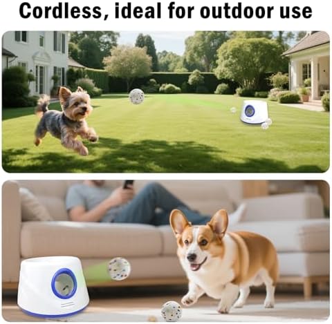 6 Pack Dog Balls, Specially Designed - Image 6
