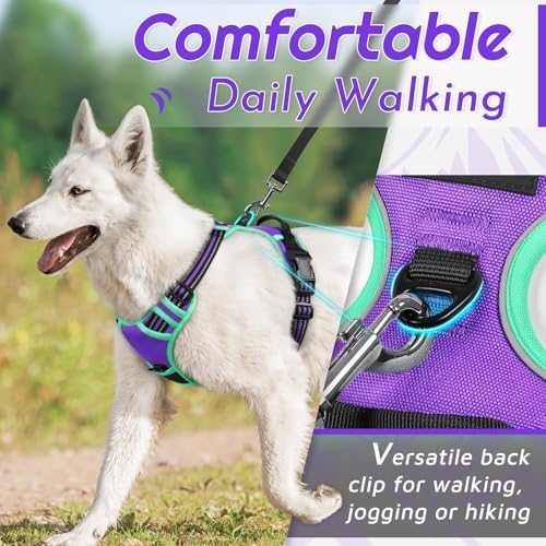 Eagloo Dog Harness for Small Dogs, No Pull Pet Vest - Image 4