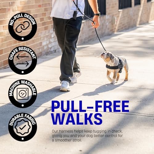 Dog Friendly Co. Dog Harness for Medium Dogs - Image 6