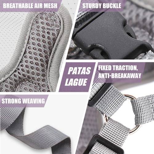 Patas Lague Dog Harness with Leash Set - Image 6