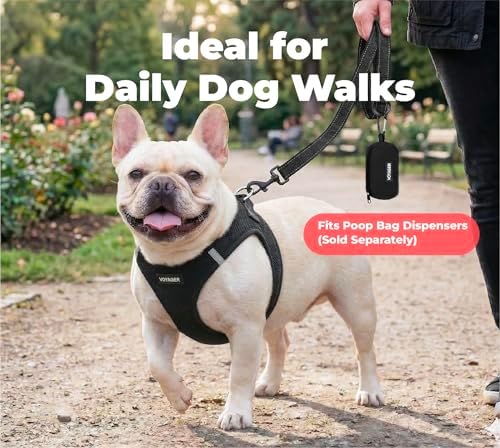 Best Pet Supplies Voyager Nylon Dog Leash - 6ft Black - Image 3