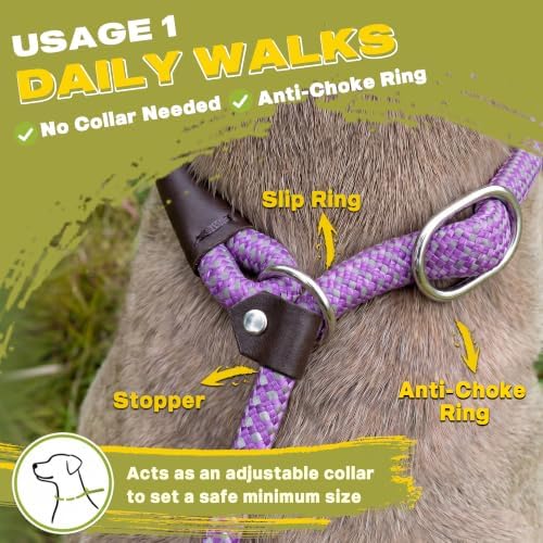 Fida Slip Lead Dog Leash 5 Pack, 6 FT x 1/2" Dog Training Leash - Image 4