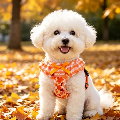 EXPAWLORER Fall Dog Harness and Leash Set Small Sized - Image 7