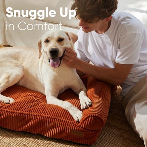 FUKUMARU Cute Dog Bed, Thickened Orthopedic Dog Sofa, Waterproof&Washable - Image 3