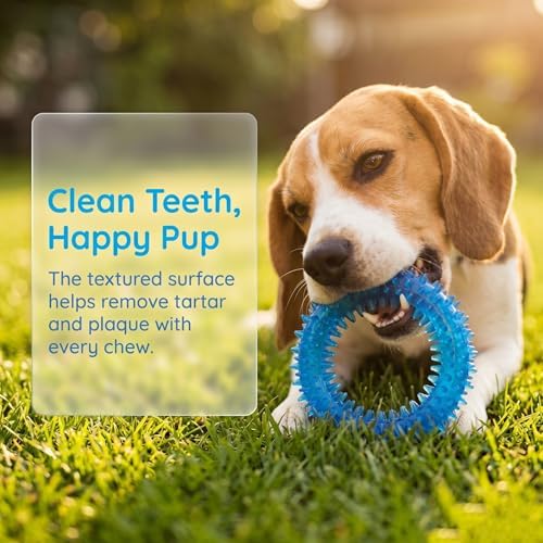 Beiker 20 Pack Puppy Chew Toys, Dog Teething Toys - Image 4
