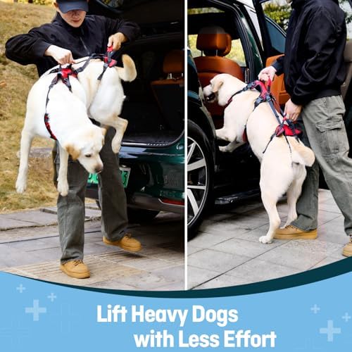 Dog Lifting Harness for Medium Dogs, Dual Handle Dog Support Harness for Daily - Image 5