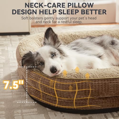 JOEJOY Orthopedic Dog Bed for Medium Dogs, Egg-Crate Memory Foam Pet Bed - Image 4