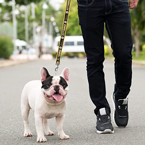 NFL PET Leash Pittsburgh Steelers Dog Leash, Medium Football Team Leash - Image 5