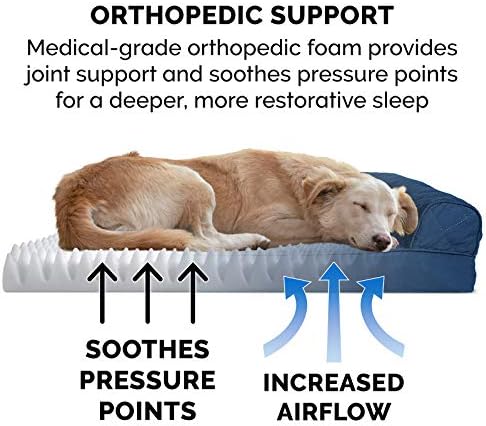 Furhaven Orthopedic Dog Bed for Medium/Small Dogs w/ Removable Bolsters & - Image 5