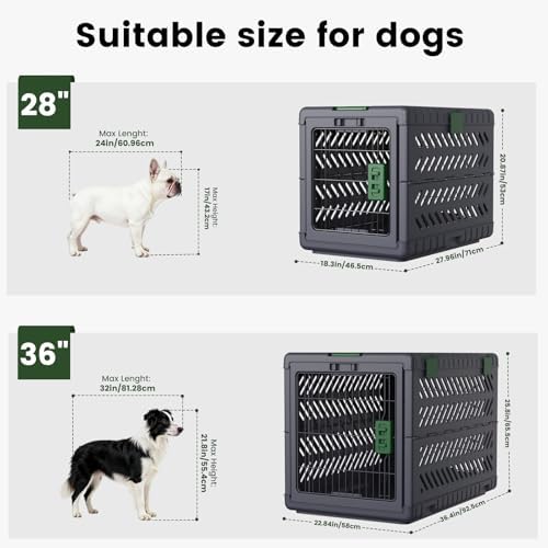 Collapsible Dog Crate for Small/Medium Dogs - Image 2