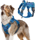 rabbitgoo Tactical Dog Harness for Medium, No Pull Military Service Vest by rabbitgoo