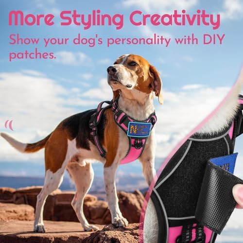 Eagloo Dog Harness No Pull for Small Dogs, Easy On & Off - Image 4