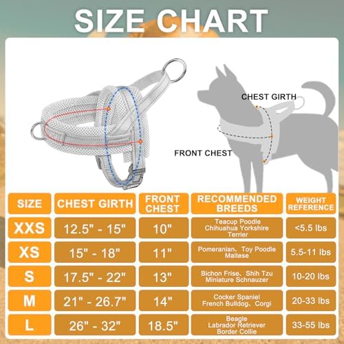 BEAUTYZOO Small Dog Harness and Leash Set, No Pull Step in Puppy Vest - Image 6