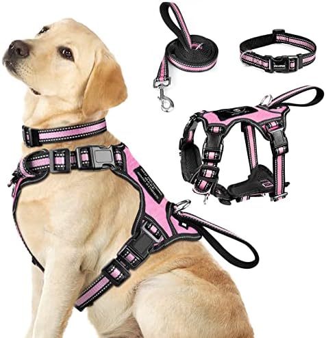 WINSEE Pet Harness Collar and Leash Set, All-in-one Reflective Dog Harness No by WINSEE