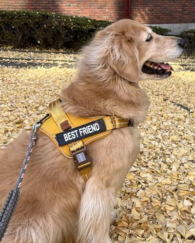 AUROTH Dog Harness and Leash Set - Image 2