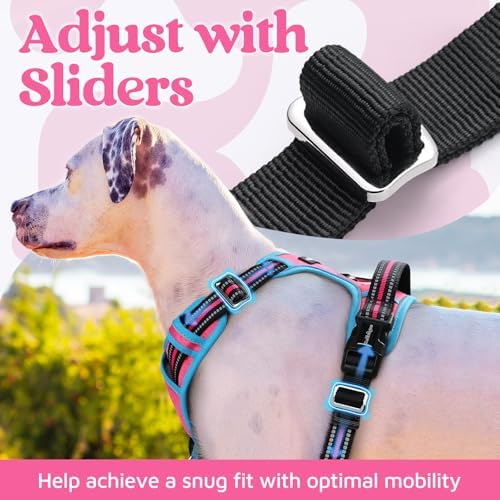 rabbitgoo Dog Harness Small Sized, No Pull 3 Buckles Easy On & Off - Image 5