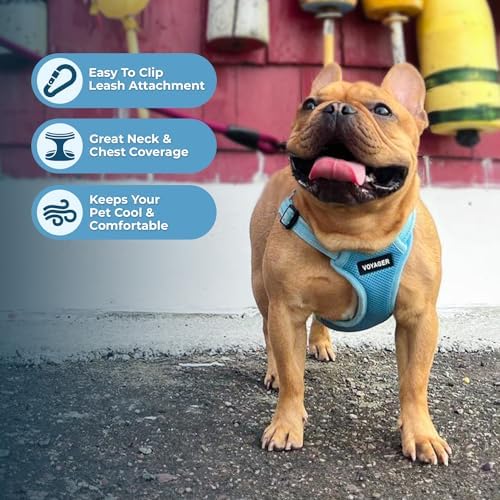 Best Pet Supplies Voyager Adjustable Step-in Flex Breathable Mesh Dog Harness - Image 6