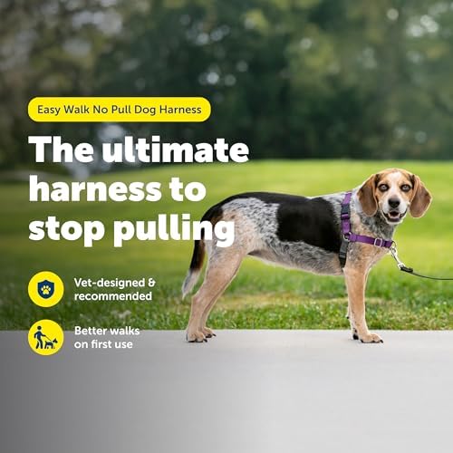 PetSafe Easy Walk Harness, No Pull Dog Harness, Deep Purple, Small/Medium - Image 2