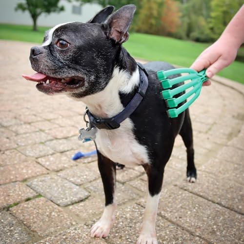 GroomRaker - Dog, Small - Green Deshedding Tool, Pet Grooming, Hair-Dander - Image 5