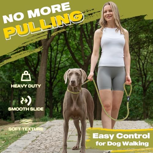 Fida Durable Slip Lead Dog Leash, 6 FT x 3/8" Dog Training Leash - Image 2