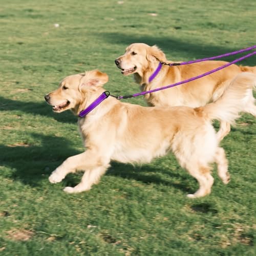 Taglory Double Dog Leash Coupler - Image 7