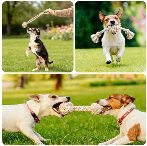 Dog Rope Toy for Small Dog 3pcs, Natural Chew Toys for Puppy, Medium Dogs - Image 5
