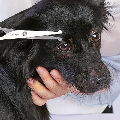 Chibuy Pet Grooming Scissors Set - Image 6