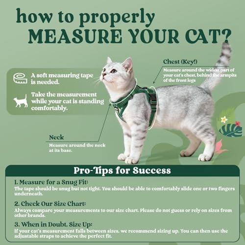 rabbitgoo Cat Harness and Leash Set, Escape Proof Vest, Rainforest Green - Image 2
