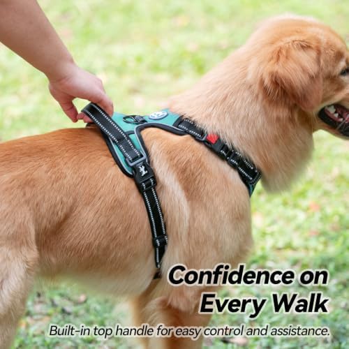 PoyPet No Pull Dog Harness Large - Image 6