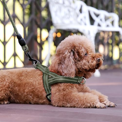 Plutus Pet No Pull Dog Harness for Medium Sized Dog, Breathable Mesh Padded - Image 6